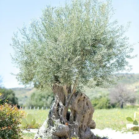 Luccicamare Family-run Beb Bed & Breakfast