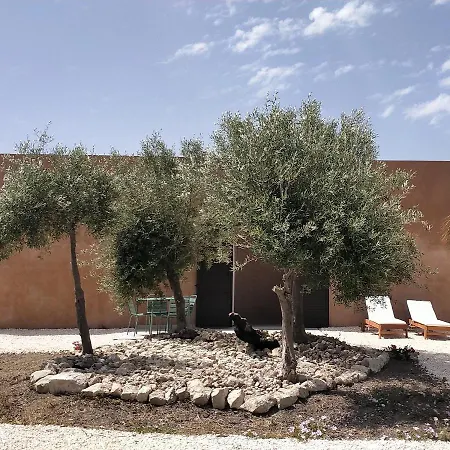 Luccicamare Family-run Beb Bed & Breakfast